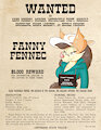 Fanny Fennec Wanted Poster by Ookamithewolf1