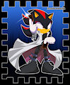 Shadow as Seto Kaiba