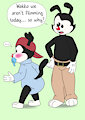 Wakko Bab