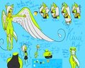 kiwi referance sheet ~cleaaan~