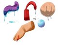 Drippy