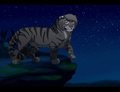 King Of The Jungle by Ronai