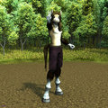 My furry Char  by Matthew298
