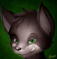 Face Shot! by darkstar86
