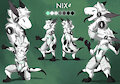(Comm) Nix Timelapse
