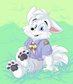 Cub Scout Commissions! by RoareyRaccoon