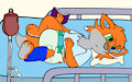 broken paw by cachorro