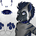 Dakota Reference Sheet