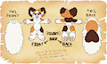 Another lil sneak peek on my new ref sheet me'z workin on! by AkayCat