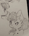 Sketches