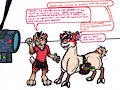 Tail Trade