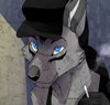 MaxCoyote by Bambi