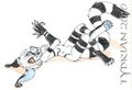 Jingo the Crux