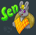 Sen the donkey