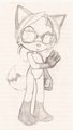 Sonic-Style Paige by paige