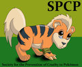 SPCP:  Save the Pokemons1