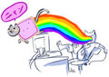 nyancat overload