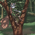 archer