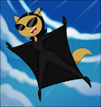 Wingsuit Kitty by Verona