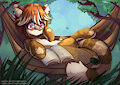 Comfy reading