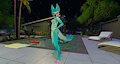 Vox Night Pool