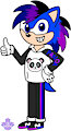 New Soneb the Hedgehog (redesign) by BigPandaSebArts