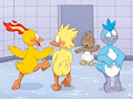 Shower birds