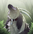 Calming rain [Iamghostdivision]