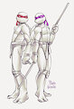 2007 Raph and Donnie by PurpleVelBeth