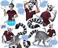 Ringtail Lemur Taur TF - Comm for Orion-B by larru