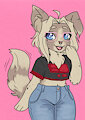 Border Collie Sona