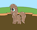 Raincoat Sunny muddy