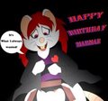 Gift:The Special Surprise