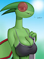 Workout Flygon~