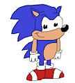 Sonic