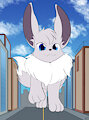 Inari Show off