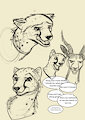 cheetahsketch