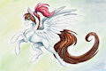Flying Sun