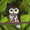 Owlami