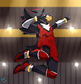Volleyball player Shadow