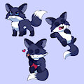 Liam the tiny fox