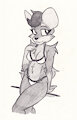 Bikini Dog