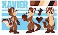 Xavier Noyer Reference Sheet by pentrep