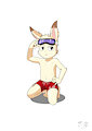 Swimsuit Won-Se