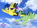 Flying together in the blue sky
