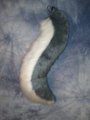 Curvey Gray Wolf Tail
