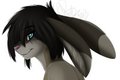 Cabbit