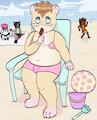beach hammy