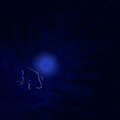 fear of the dark