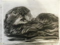 Sea Otter